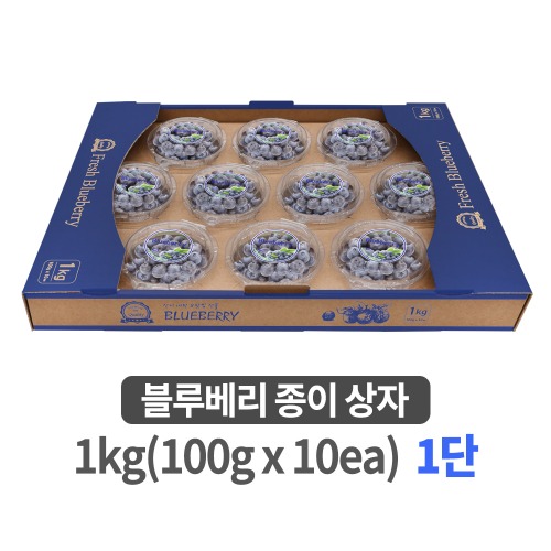블루베리 종이박스 1kg (100g x 10ea) 1단